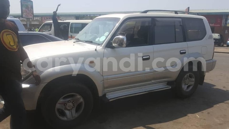 Big with watermark 69104065 235842954053146 1840008807590133760 n