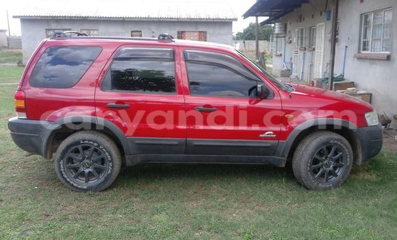 Buy Used Ford Escape Red Car in Chipata in Zambia