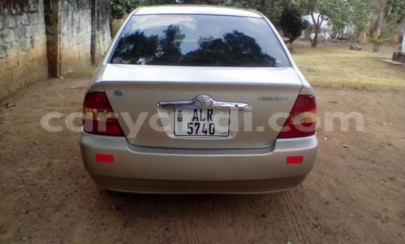 Buy Used Toyota Corolla Other Car in Chipata in Zambia Buy Used Toyota Corolla Other Car in Chipata in Zambia