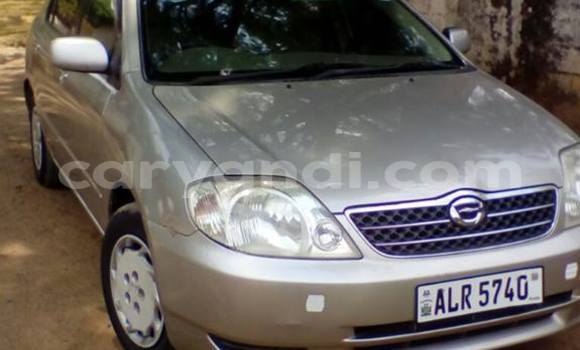 Buy Used Toyota Corolla Other Car in Chipata in Zambia Buy Used Toyota Corolla Other Car in Chipata in Zambia