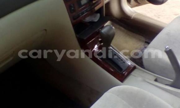 Buy Used Toyota Corolla Other Car in Chipata in Zambia Buy Used Toyota Corolla Other Car in Chipata in Zambia