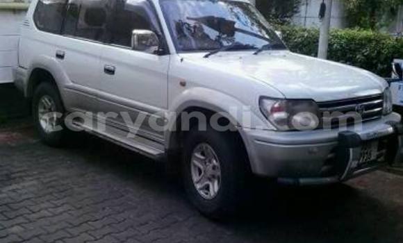 Tenga Tsaru Toyota Prado Chena Mota in Chipata in Zambia Tenga Tsaru Toyota Prado Chena Mota in Chipata in Zambia