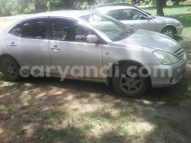 Big with watermark 14937420 10210899464142563 5142262507148257599 n