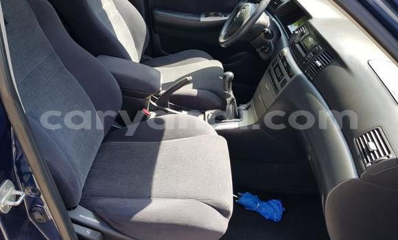 Buy Used Toyota Corolla Blue Car in Lusaka in Zambia Buy Used Toyota Corolla Blue Car in Lusaka in Zambia