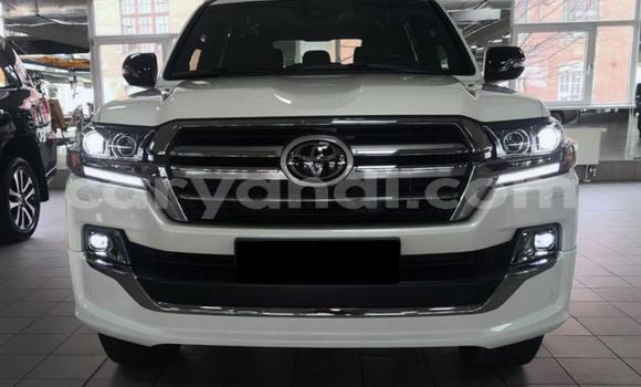 Acheter Occasion Voiture Toyota Land Cruiser Blanc à Lusaka, Zambie Acheter Occasion Voiture Toyota Land Cruiser Blanc à Lusaka, Zambie