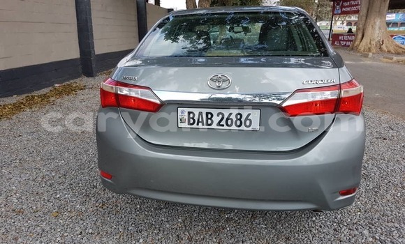 Acheter Occasion Voiture Toyota Corolla Autre à Lusaka, Zambie Acheter Occasion Voiture Toyota Corolla Autre à Lusaka, Zambie