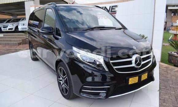 Tenga Tsaru Mercedes‒Benz Viano Nhema Mota in Kitwe in Zambia Tenga Tsaru Mercedes‒Benz Viano Nhema Mota in Kitwe in Zambia