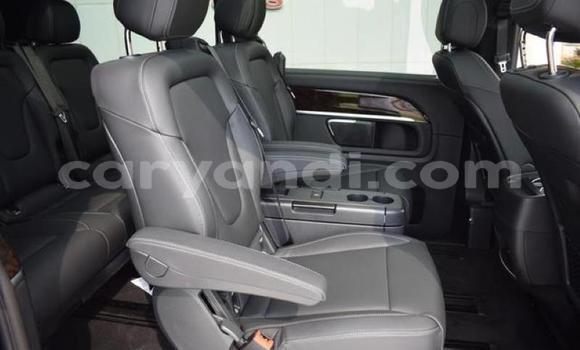 Tenga Tsaru Mercedes‒Benz Viano Nhema Mota in Kitwe in Zambia Tenga Tsaru Mercedes‒Benz Viano Nhema Mota in Kitwe in Zambia