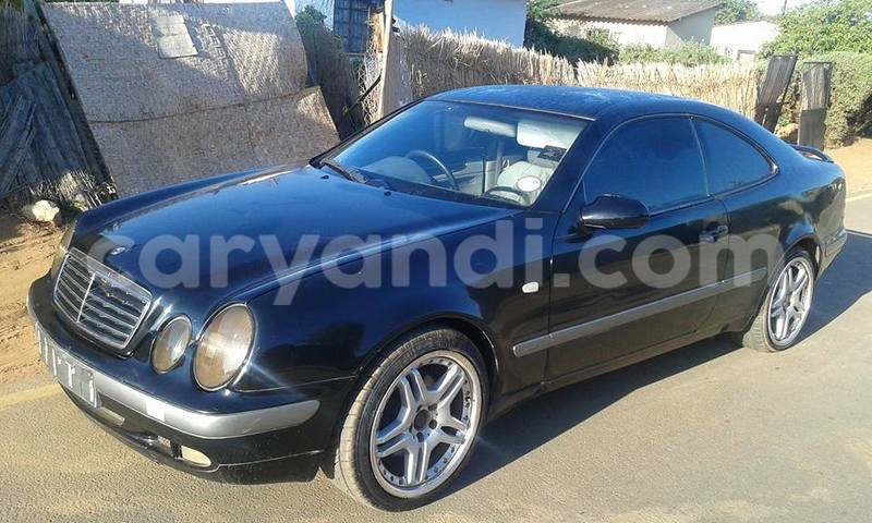 Big with watermark 14695326 1276538865723864 3907257530309395993 n