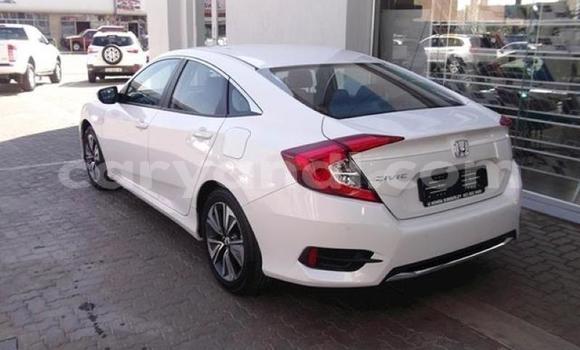 Tenga Tsaru Honda Civic Chena Mota in Chingola in Zambia Tenga Tsaru Honda Civic Chena Mota in Chingola in Zambia