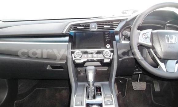 Tenga Tsaru Honda Civic Chena Mota in Chingola in Zambia Tenga Tsaru Honda Civic Chena Mota in Chingola in Zambia