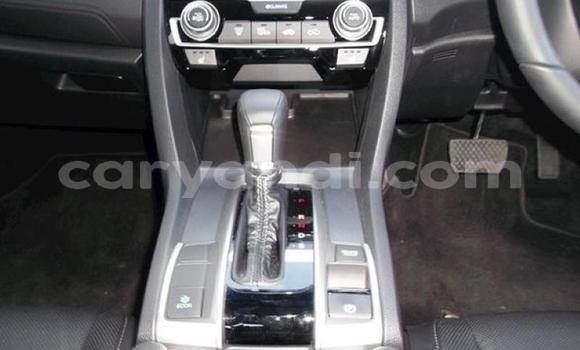 Tenga Tsaru Honda Civic Chena Mota in Chingola in Zambia Tenga Tsaru Honda Civic Chena Mota in Chingola in Zambia