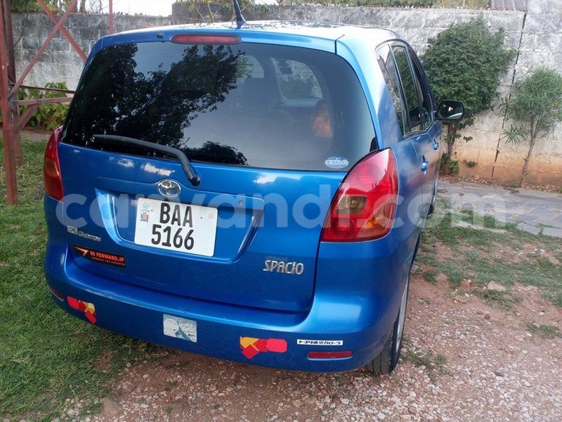 Big with watermark 14572839 1276538899057194 7605807282165903254 n