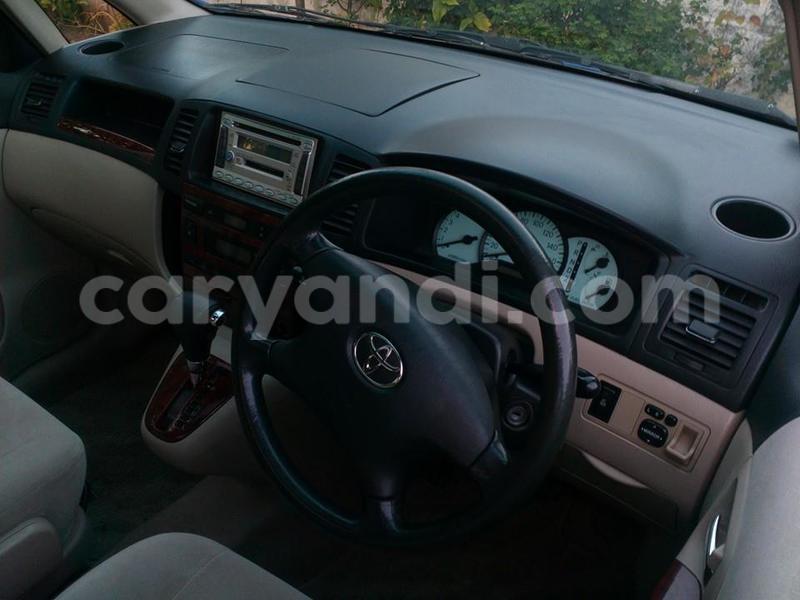 Big with watermark 14937420 10210899464142563 5142262507148257599 n