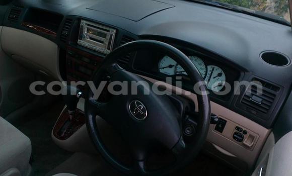 Tenga Tsaru Toyota Spacio Bhuruu Mota in Chipata in Zambia Tenga Tsaru Toyota Spacio Bhuruu Mota in Chipata in Zambia