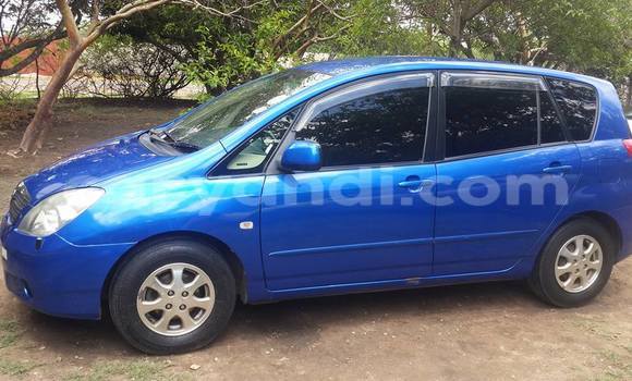 Buy Used Toyota Spacio Blue Car in Chipata in Zambia Buy Used Toyota Spacio Blue Car in Chipata in Zambia