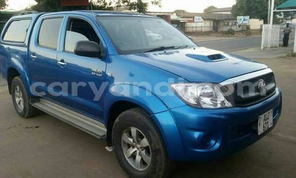 Buy Used Toyota Hilux Blue Car in Chipata in Zambia Buy Used Toyota Hilux Blue Car in Chipata in Zambia