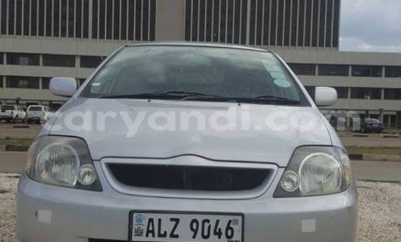 Tenga Tsaru Toyota Runx Sirivha Mota in Chipata in Zambia Tenga Tsaru Toyota Runx Sirivha Mota in Chipata in Zambia