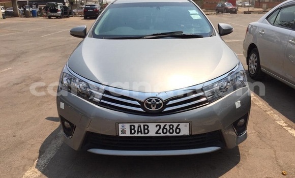 Buy New Toyota Corolla Other Car in Lusaka in Zambia Buy New Toyota Corolla Other Car in Lusaka in Zambia