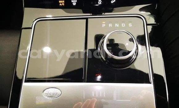 Tenga Tsaru Land Rover Range Rover Chena Mota in Livingstone in Zambia Tenga Tsaru Land Rover Range Rover Chena Mota in Livingstone in Zambia