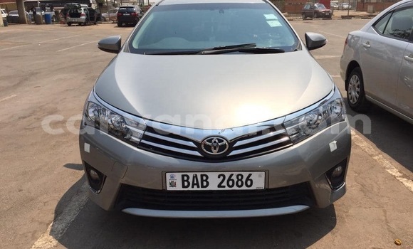 Buy Used Toyota Corolla Other Car in Lusaka in Zambia Buy Used Toyota Corolla Other Car in Lusaka in Zambia