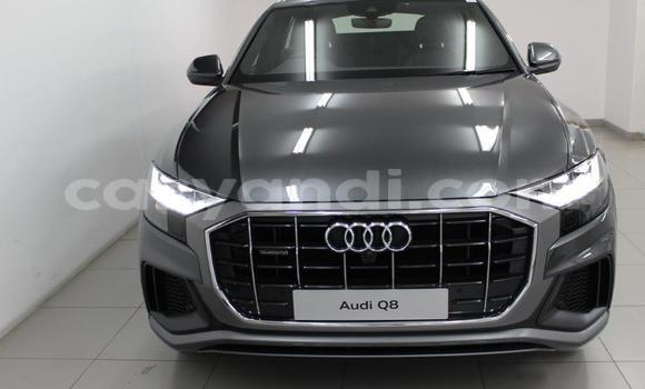 Tenga Tsaru Audi Q8 Zvimwe Mota in Chingola in Zambia Tenga Tsaru Audi Q8 Zvimwe Mota in Chingola in Zambia