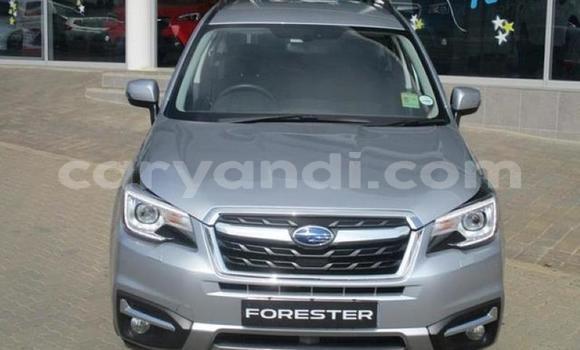 Tenga Tsaru Subaru Forester Sirivha Mota in Lusaka in Zambia Tenga Tsaru Subaru Forester Sirivha Mota in Lusaka in Zambia