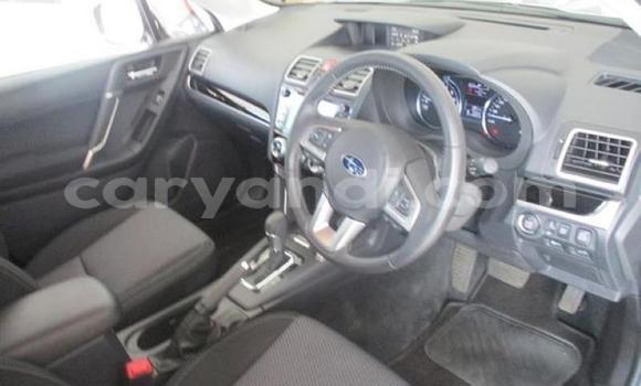 Tenga Tsaru Subaru Forester Sirivha Mota in Lusaka in Zambia Tenga Tsaru Subaru Forester Sirivha Mota in Lusaka in Zambia