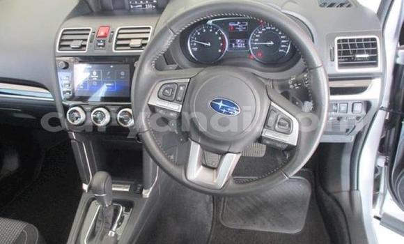 Tenga Tsaru Subaru Forester Sirivha Mota in Lusaka in Zambia Tenga Tsaru Subaru Forester Sirivha Mota in Lusaka in Zambia