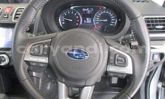 Tenga Tsaru Subaru Forester Sirivha Mota in Lusaka in Zambia Tenga Tsaru Subaru Forester Sirivha Mota in Lusaka in Zambia