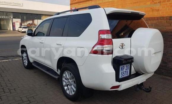 Tenga Tsaru Toyota Land Cruiser Prado Chena Mota in Lusaka in Zambia Tenga Tsaru Toyota Land Cruiser Prado Chena Mota in Lusaka in Zambia