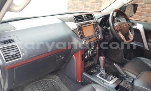 Tenga Tsaru Toyota Land Cruiser Prado Chena Mota in Lusaka in Zambia Tenga Tsaru Toyota Land Cruiser Prado Chena Mota in Lusaka in Zambia