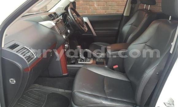 Tenga Tsaru Toyota Land Cruiser Prado Chena Mota in Lusaka in Zambia Tenga Tsaru Toyota Land Cruiser Prado Chena Mota in Lusaka in Zambia