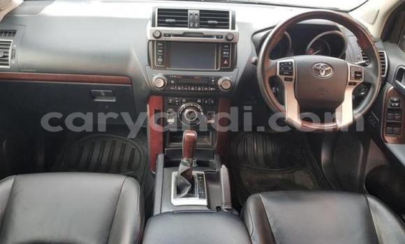 Tenga Tsaru Toyota Land Cruiser Prado Chena Mota in Lusaka in Zambia Tenga Tsaru Toyota Land Cruiser Prado Chena Mota in Lusaka in Zambia