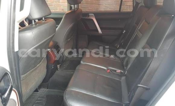 Tenga Tsaru Toyota Land Cruiser Prado Chena Mota in Lusaka in Zambia Tenga Tsaru Toyota Land Cruiser Prado Chena Mota in Lusaka in Zambia