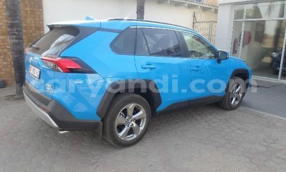 Acheter Occasion Voiture Toyota RAV4 Rouge à Chingola, Zambie Acheter Occasion Voiture Toyota RAV4 Rouge à Chingola, Zambie