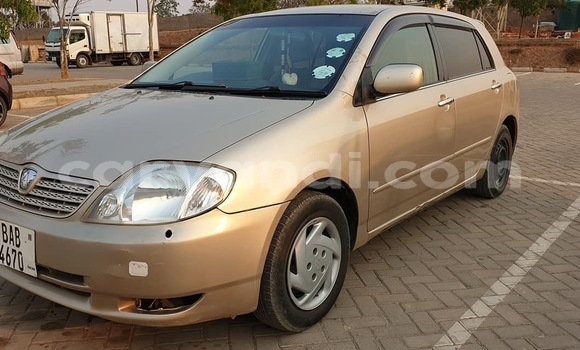 Tenga Tsaru Toyota Runx Zvimwe Mota in Lusaka in Zambia Tenga Tsaru Toyota Runx Zvimwe Mota in Lusaka in Zambia