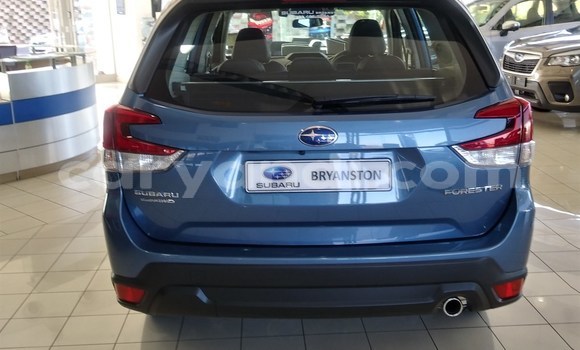 Buy Used Subaru Forester Other Car in Mazabuka in Southern Buy Used Subaru Forester Other Car in Mazabuka in Southern