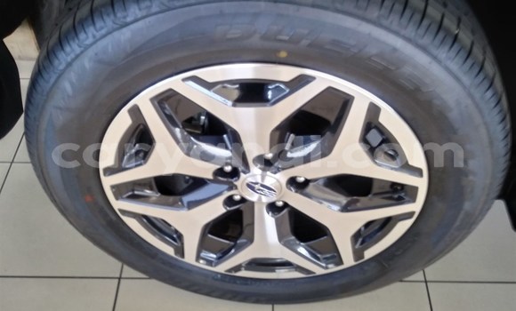 Buy Used Subaru Forester Other Car in Mazabuka in Southern Buy Used Subaru Forester Other Car in Mazabuka in Southern