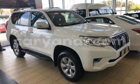 Buy Used Toyota Land Cruiser Prado White Car in Lusaka in Zambia Buy Used Toyota Land Cruiser Prado White Car in Lusaka in Zambia