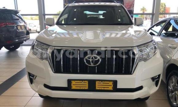 Buy Used Toyota Land Cruiser Prado White Car in Lusaka in Zambia Buy Used Toyota Land Cruiser Prado White Car in Lusaka in Zambia