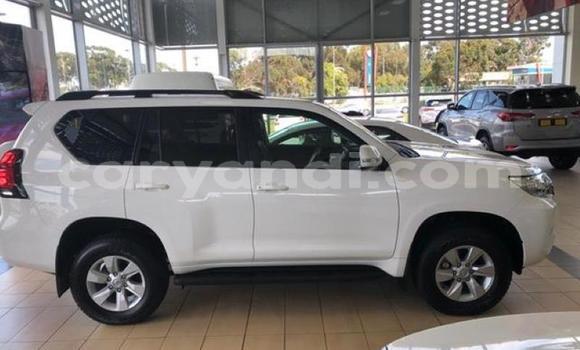 Buy Used Toyota Land Cruiser Prado White Car in Lusaka in Zambia Buy Used Toyota Land Cruiser Prado White Car in Lusaka in Zambia