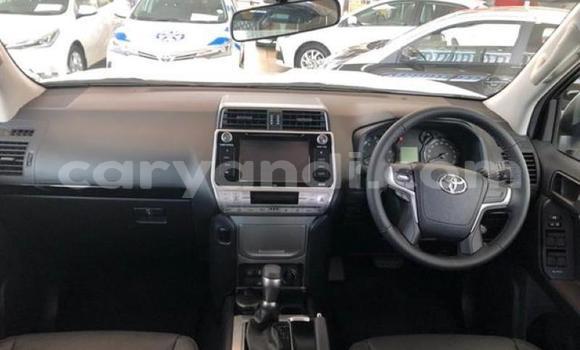 Buy Used Toyota Land Cruiser Prado White Car in Lusaka in Zambia Buy Used Toyota Land Cruiser Prado White Car in Lusaka in Zambia