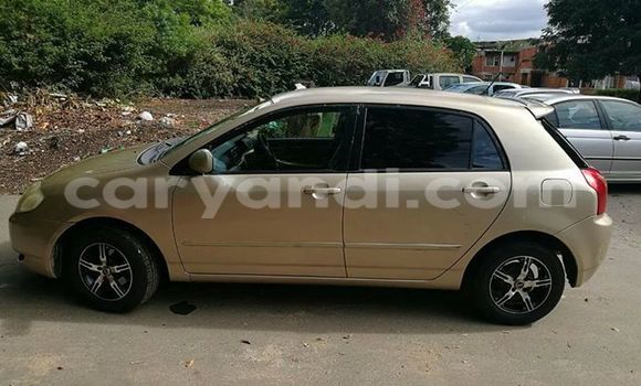 Nunua Ilio tumika Toyota Runx Nyingine Gari ndani ya Chipata nchini Zambia Nunua Ilio tumika Toyota Runx Nyingine Gari ndani ya Chipata nchini Zambia