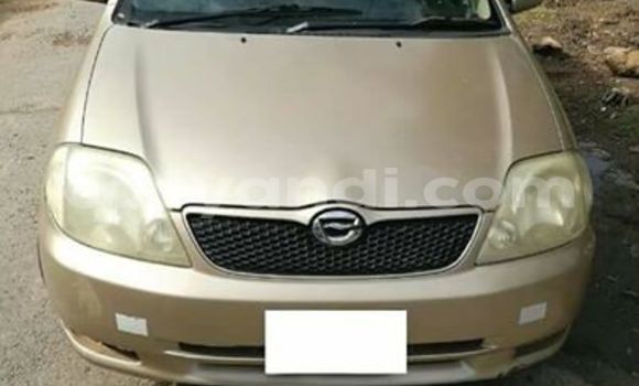 Nunua Ilio tumika Toyota Runx Nyingine Gari ndani ya Chipata nchini Zambia Nunua Ilio tumika Toyota Runx Nyingine Gari ndani ya Chipata nchini Zambia