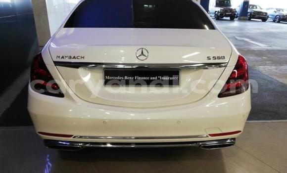 Buy Used Mercedes‒Benz Maybach S-klasse White Car in Lusaka in Zambia Buy Used Mercedes‒Benz Maybach S-klasse White Car in Lusaka in Zambia