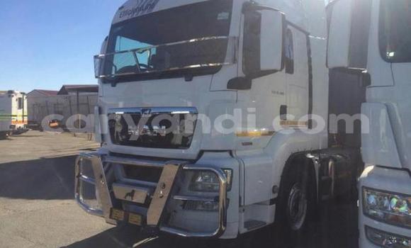 Acheter Occasion Utilitaire Man TGX Blanc à Lusaka, Zambie Acheter Occasion Utilitaire Man TGX Blanc à Lusaka, Zambie