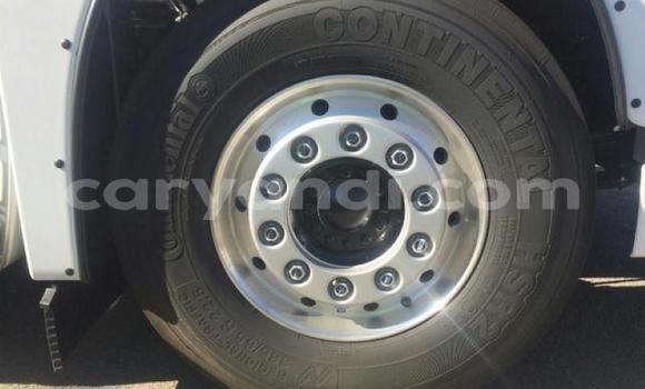 Acheter Occasion Utilitaire Man TGX Blanc à Lusaka, Zambie Acheter Occasion Utilitaire Man TGX Blanc à Lusaka, Zambie