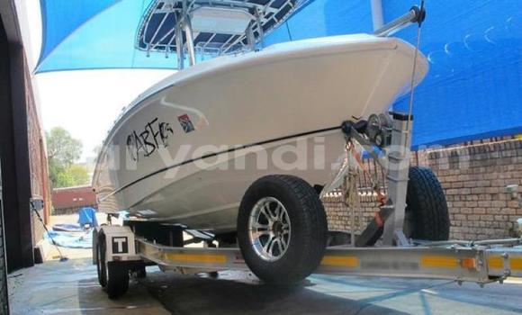 Buy Used AC Ace White Car in Lusaka in Zambia