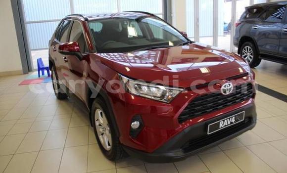 Buy Used Toyota RAV4 Red Car in Livingstone in Zambia Buy Used Toyota RAV4 Red Car in Livingstone in Zambia